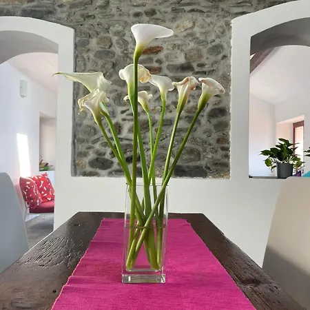 Appartement Giulio's Place, Cozy View Maccagno